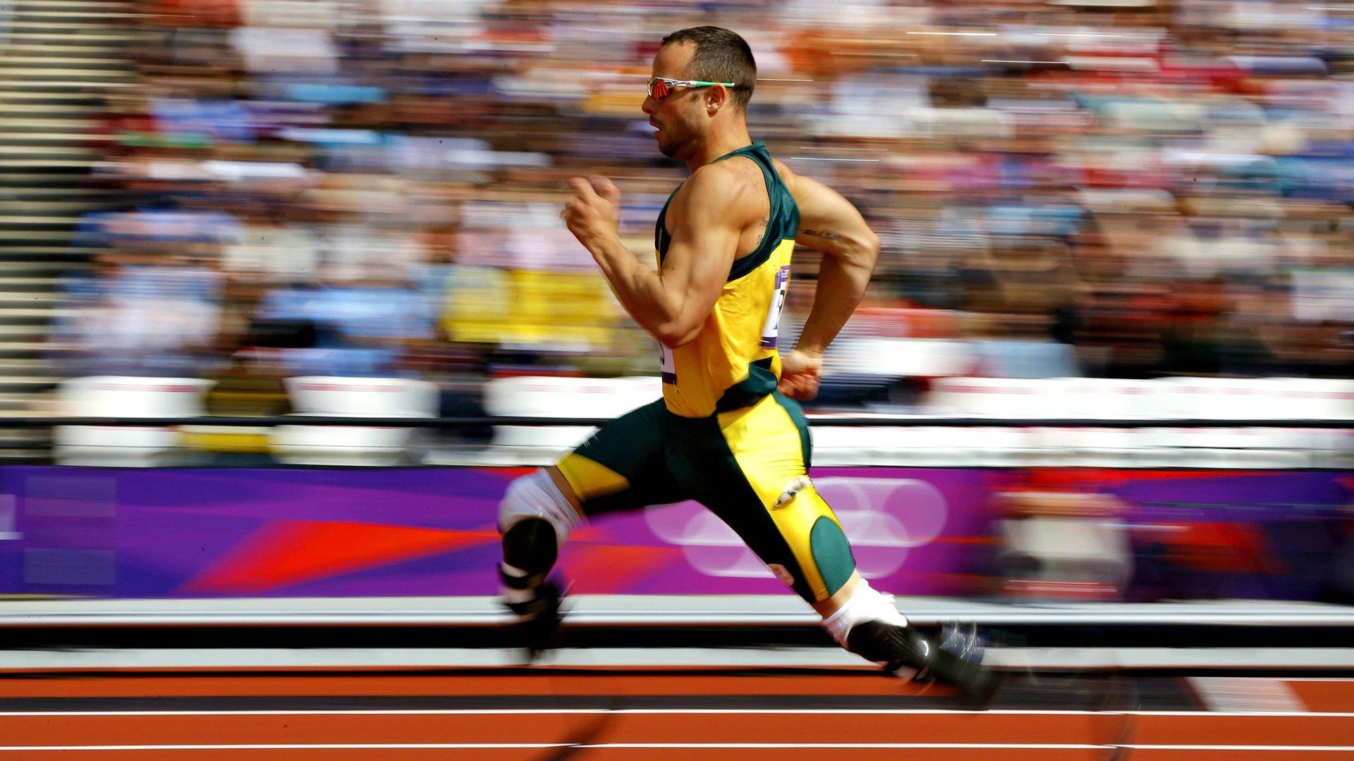 灰熊精神与乔治的野望，从压制到接管